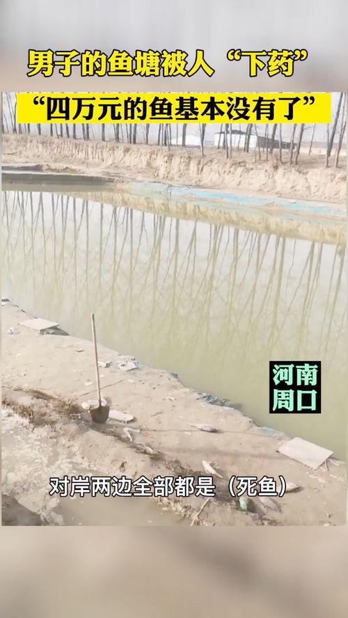 男人的鱼塘爆料视频,男人鱼塘爆料视频背后的惊人真相